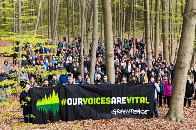 Forêts, liberté d’expression : des auteurs s’engagent avec Greenpeace