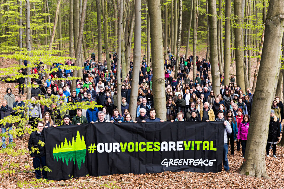 Plus de 100 auteurs du monde entier s’engagent aux côtés de Greenpeace pour soutenir la liberté d'expression et protéger les forêts. Le manifeste que ces auteurs ont signé fait suite aux poursuites-bâillons menées par l'entreprise Produits forestiers Résolu contre Greenpeace pour l’empêcher de faire campagne pour défendre la forêt boréale.