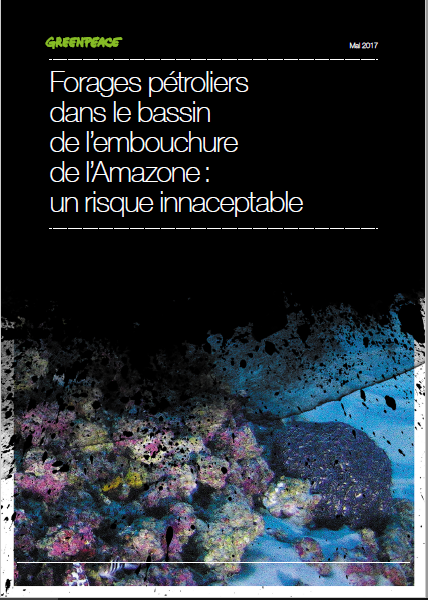 Dans ce rapport, Greenpeace explique pourquoi les autorités brésiliennes et le