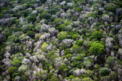 Récif de l’Amazone : Total et BP devraient revoir leur copie