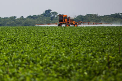 Glyphosate : Monsanto veut passer en force