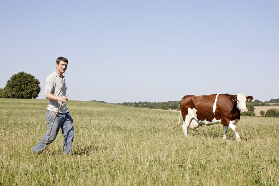 Alors que le gouvernement français promettait d’agir pour aider les agriculteurs et agricultrices, force est de constater que les mesures proposées ne vont profiter qu’à l’agrobusiness. Les paysans et l’environnement sont purement et simplement sacrifiés. 