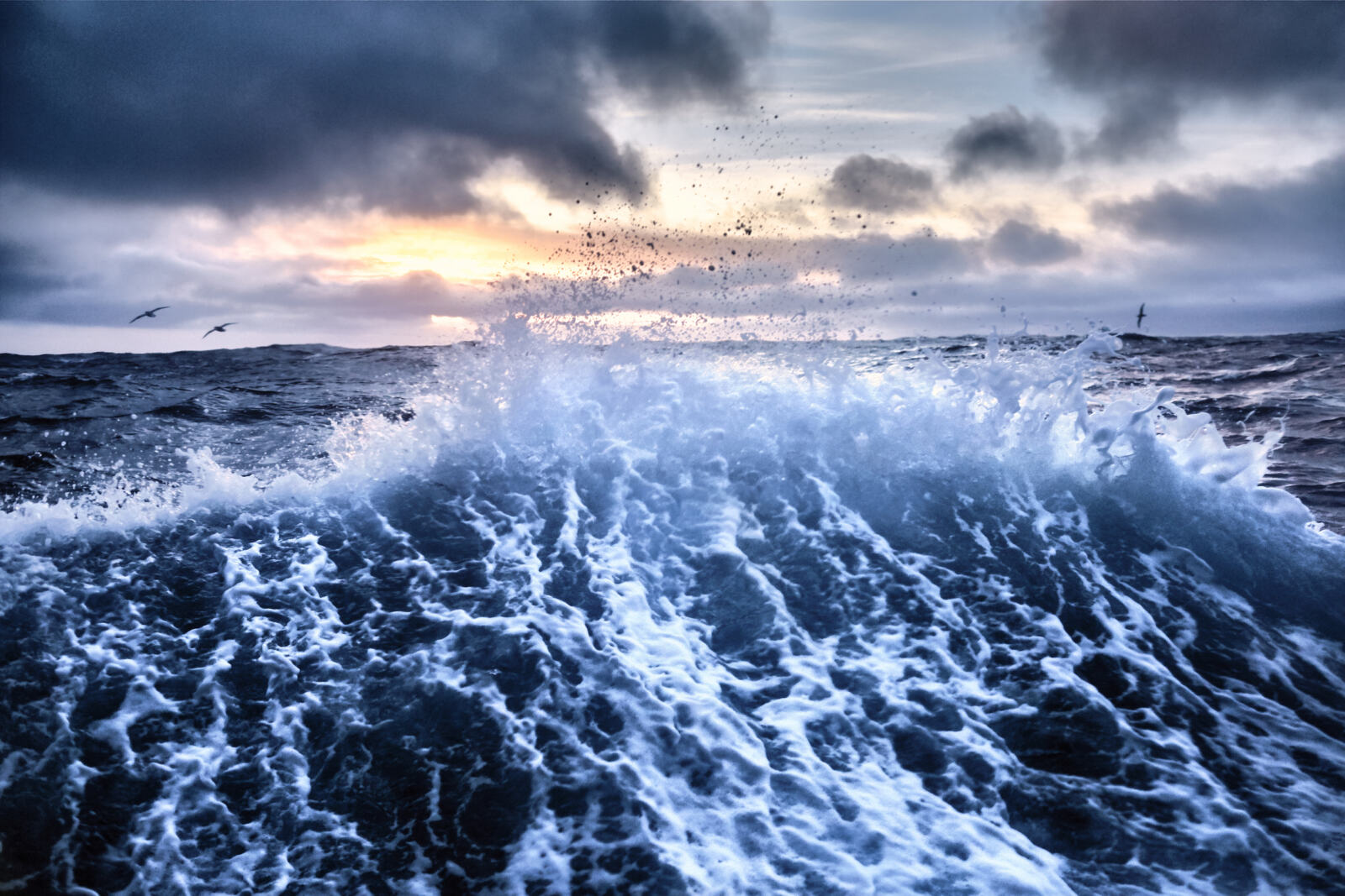 À l'heure où les Nations unies se réunissent à New York pour amorcer des négociations sur la protection de la haute-mer, Paul Ruzycki, capitaine de notre bateau Esperanza, lance un cri d'alarme. Il nous explique pourquoi il est plus que jamais urgent de préserver la haute-mer, cet espace maritime situé au-delà des juridictions nationales et qui ne bénéficie à ce jour d'aucune protection spécifique. Témoignage.