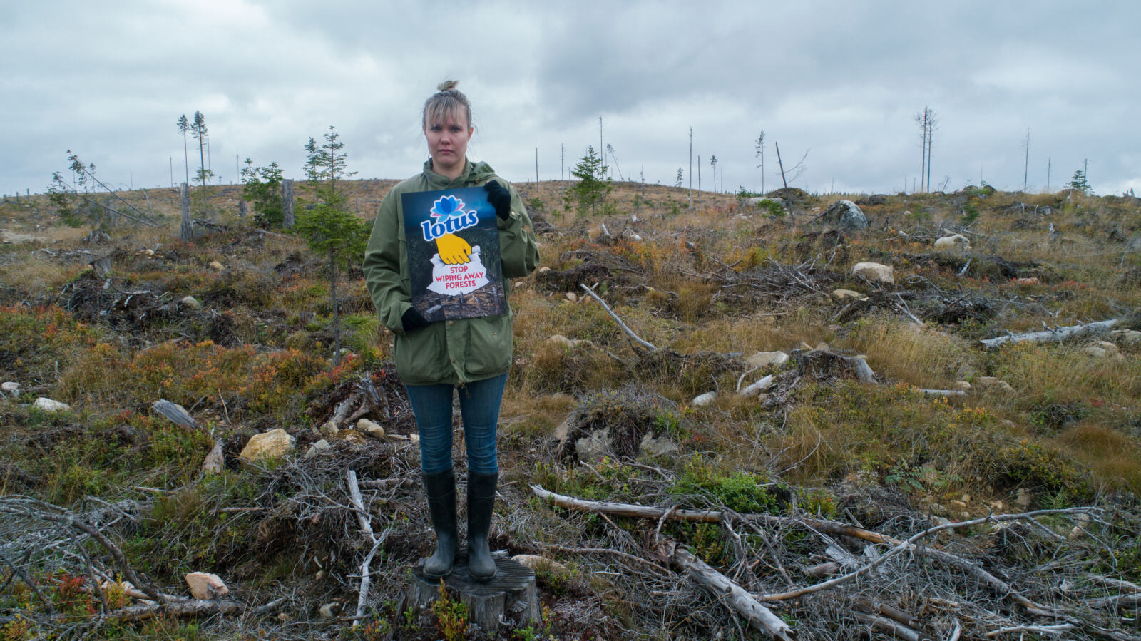 Les activités humaines provoquent actuellement une extinction des espèces 1000 fois plus rapide que le rythme naturel. Nous devons ralentir cette cadence effrénée et cesser de détruire ou dégrader la biodiversité, les écosystèmes et les services indispensables qu'ils nous rendent. Parmi ces écosystèmes se trouve la forêt boréale, aujourd'hui menacée par la production de papiers domestiques à usage unique, comme le papier-toilette.