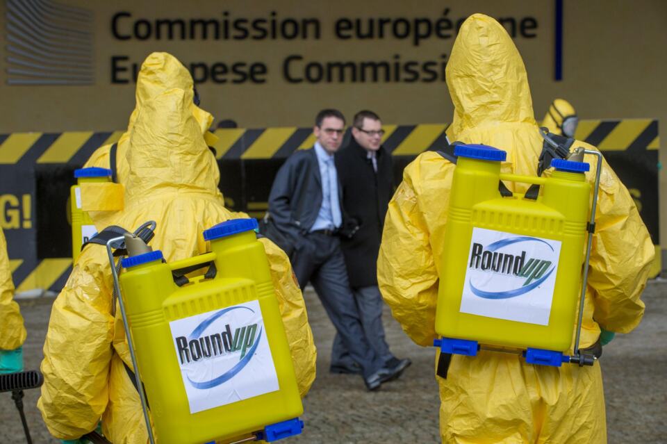 L’autorisation du glyphosate arrive à échéance en Europe à la mi-décembre. Un vote organisé par la Commission européenne devrait se tenir mercredi 25 octobre pour décider de l’éventuel renouvellement de cette autorisation, de sa durée et de ses conditions. Depuis 2016, la Commission européenne tente d’obtenir une majorité qualifiée sur le sujet… en vain. À la veille du vote, Greenpeace revient sur la « saga » du glyphosate et réitère ses demandes d’interdiction au gouvernement français et aux autorités européennes.