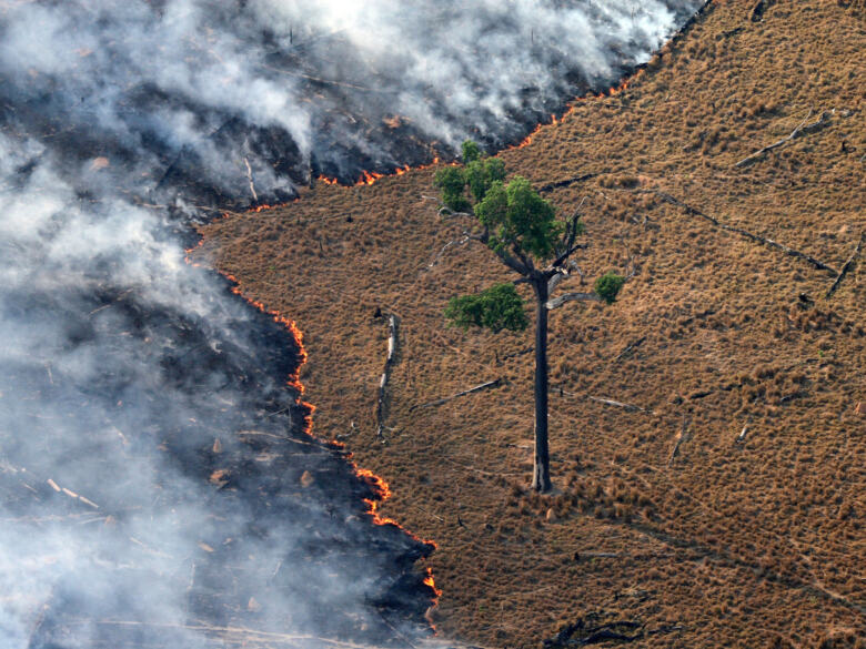 Un terrain en feu en Amazonie