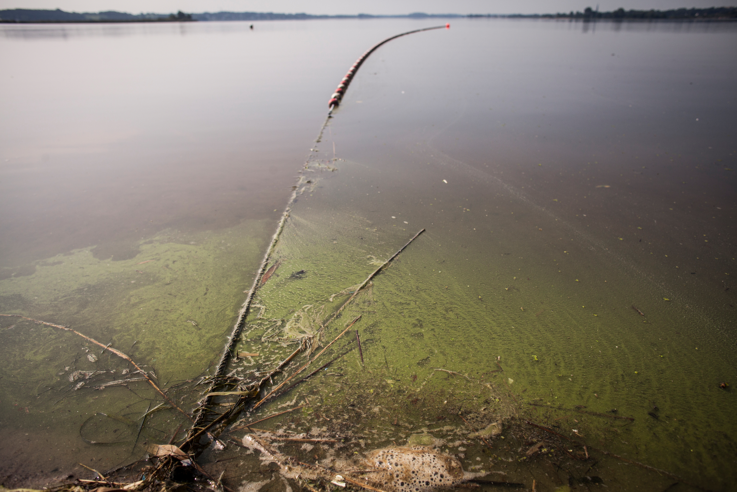 Un test de qualité de l'eau dans la Schlei, en Allemagne.