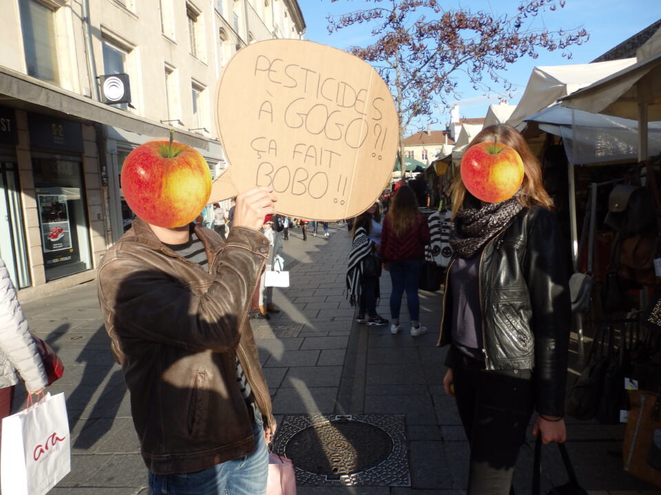 Le samedi 4 novembre, Place Charles III à Nancy, 4 militants Greenpeace ont pr