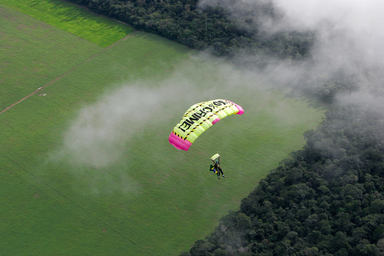 Hier, Greenpeace a publié les textes confidentiels de l'accord de libre échange entre l'Union européenne et le Mercosur, entité qui regroupe l'Argentine, le Paraguay, le Brésil et l'Uruguay. Les négociateurs espèrent parvenir à un accord en 2018. L'augmentation des importations de viande et de soja vers l'Europe pourrait entraîner une hausse de la déforestation sur le continent sud-américain...