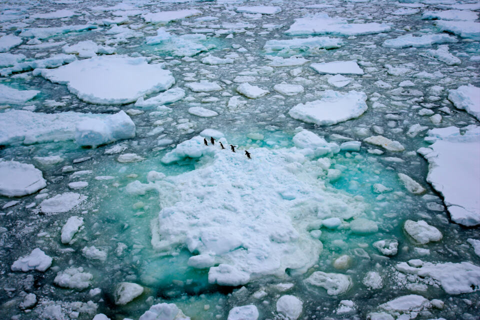 L’année 2017 s’achève sur deux bonnes nouvelles pour les pôles : entrée en vigueur de la plus grande réserve marine du monde au pôle Sud, et moratoire sur la pêche commerciale au pôle Nord. Cependant, toutes les menaces qui pèsent sur ces espaces encore préservés sont loin d’être écartées. C’est pourquoi, en 2018, Greenpeace sera mobilisée de l’Arctique à l’Antarctique, sur terre comme en mer... Attention, spoiler !
