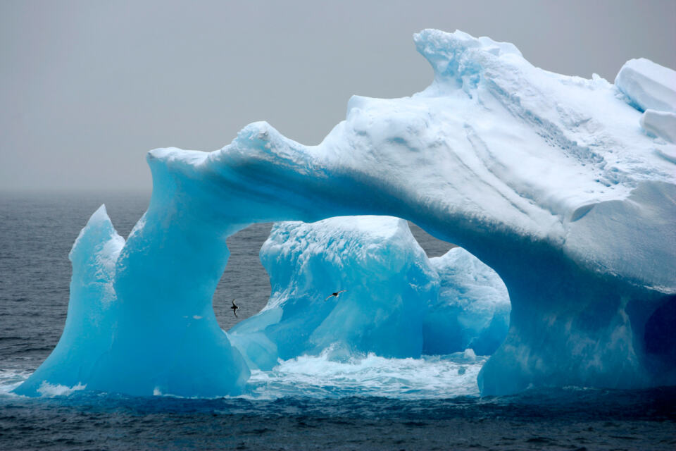 En ce moment même, l’Arctic Sunrise, le brise-glace de la flotte arc-en-ciel de Greenpeace, met le cap sur l’extrême sud de notre globe. Au cours des trois prochains mois, son équipage travaillera coude-à-coude avec des scientifiques, des photographes et des journalistes du monde entier pour promouvoir la création, dans l’océan Antarctique, de la plus grande réserve marine du monde.
Enfilez vos gants et votre bonnet, on vous embarque !