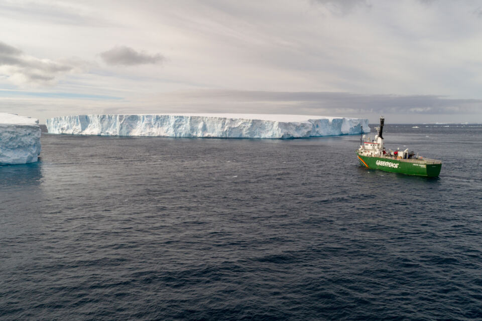 Saviez-vous que l’océan Antarctique est le refuge de la baleine bleue, le plu