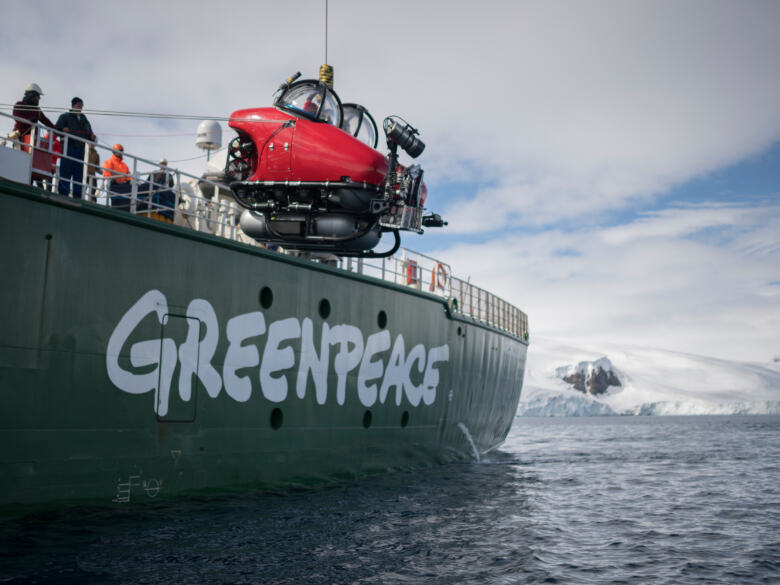 Premières images du plancher océanique Antarctique par Greenpeace.