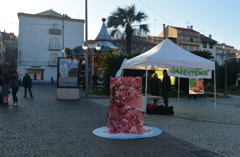 Après une première mobilisation à Nice le 9 décembre, nous nous sommes rendu