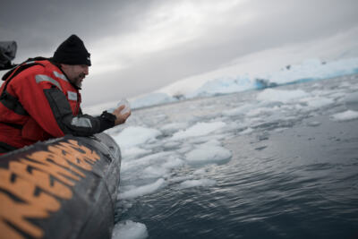 Javier Bardem plonge en Antarctique