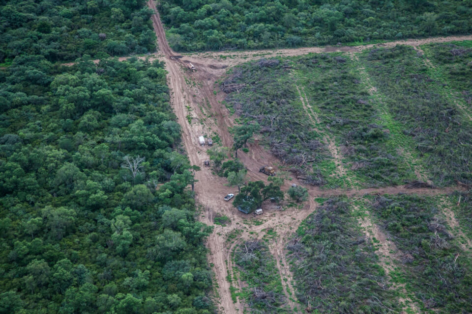 Vous n'en avez sans doute pas entendu parler, mais l'Union européenne est sur le point de prendre une décision cruciale qui aura un impact considérable sur les forêts du monde. L'idée d'un plan d'action sur la déforestation et la dégradation des forêts est en discussion depuis plusieurs années et l'échéance approche à grand pas. L'UE va-t-elle faire le bon choix ? Va-t-elle finalement élaborer ce plan et choisir d’arrêter de contribuer à la déforestation...ou enterrer l'idée ? La décision est imminente.