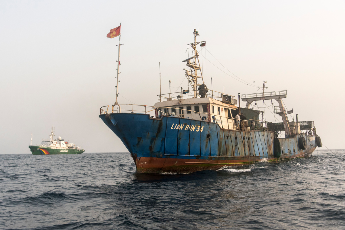 Les opérations contre la pêche illégale menées par Greenpeace en 2017 au large de l'Afrique de l'Ouest ont fait réagir le gouvernement chinois. Il vient de prendre des décisions importantes mettant un terme aux activités illégales de plusieurs entreprises.