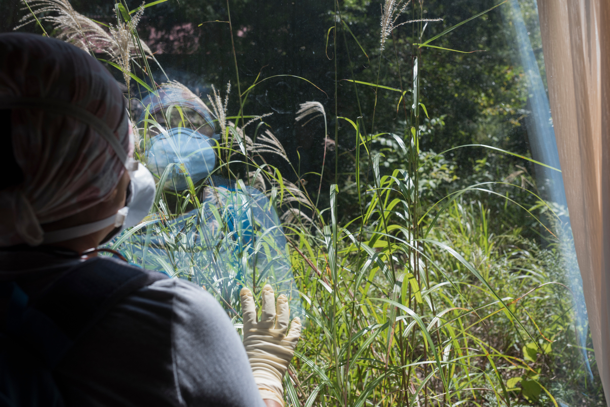 Le 11 mars 2011, un séisme et un tsunami dévastateurs frappaient le Japon. Une catastrophe nucléaire majeure débutait avec la fusion de trois réacteurs de la centrale nucléaire de Fukushima Daiichi, exploitée par TEPCO. Sept ans après, la catastrophe continue de se dérouler sous nos yeux, entraînant à la fois une contamination de l'environnement et des souffrances humaines intolérables. 