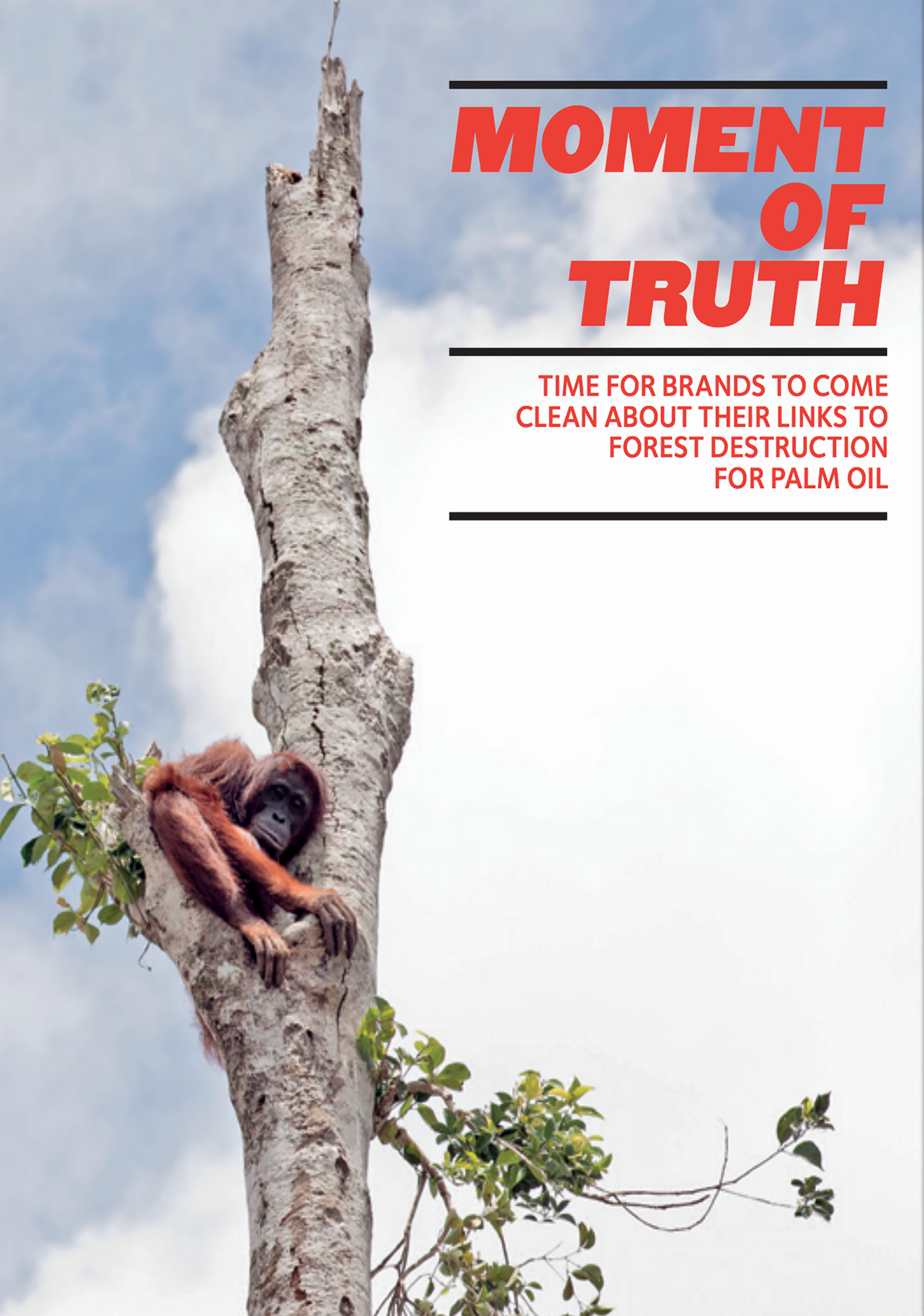 Dans un rapport intitulé Moment of Truth, Greenpeace International publie aujourd'hui les résultats de ses évaluations et déplore que les grandes marques ne soient pas près de tenir leur engagement à faire le ménage dans leur chaîne d'approvisionnement d'huile de palme d'ici à 2020. 