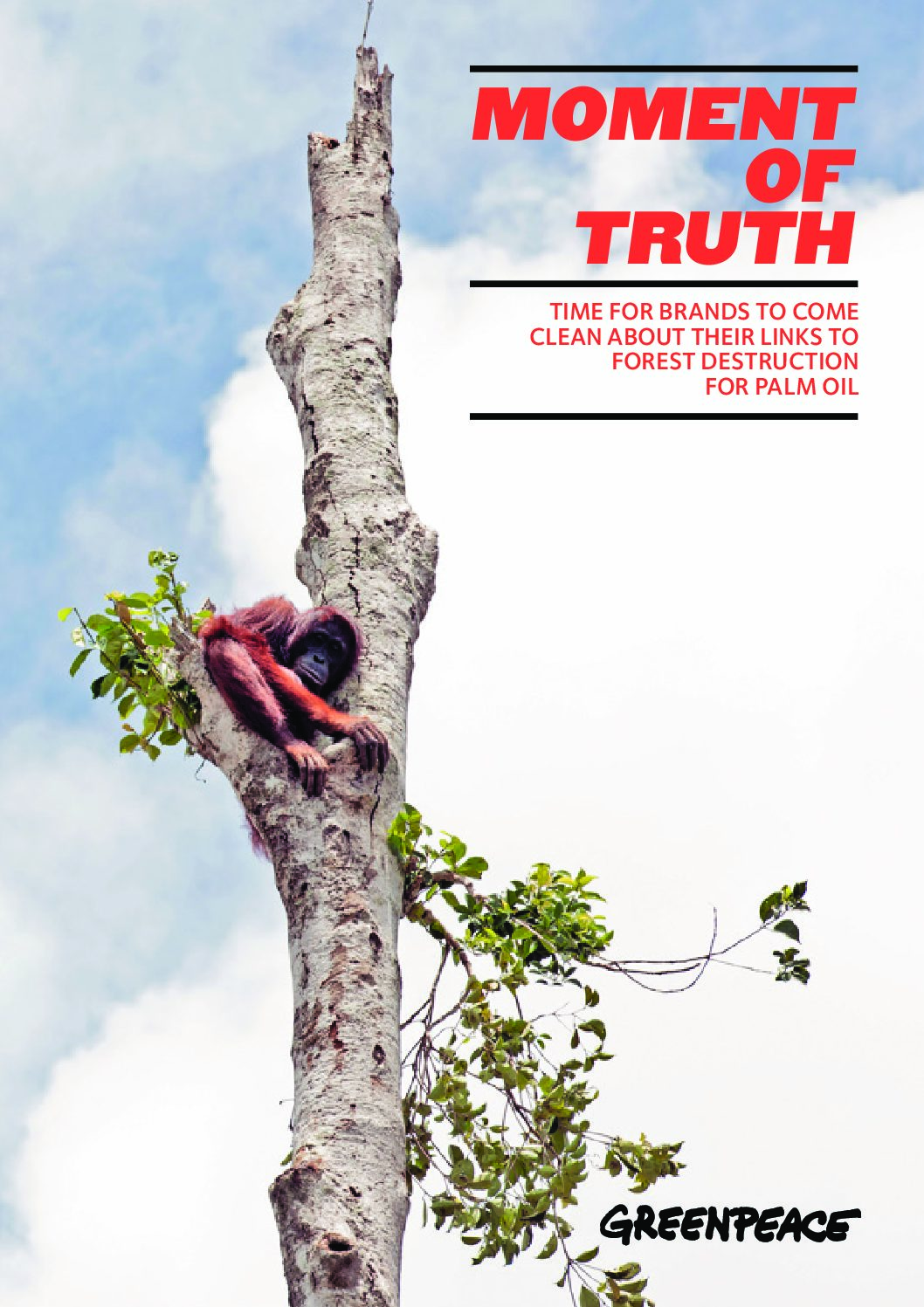 [RAPPORT] Huile de palme et déforestation — Moment de vérité (mars 2018)