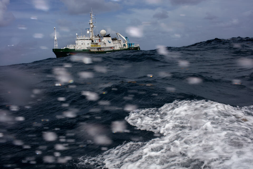 Voici quelques jours maintenant que nous sommes arrivé-es sur le récif, à la recherche de ses trésors cachés. Après avoir exploré la partie sud et centrale l’an dernier, nous nous concentrons cette année sur la partie nord de l’écosystème... du moins sur ce que nous croyons être la partie nord, car le récif pourrait être bien plus grand que prévu ! Pour en avoir le cœur net, nous avons tenté de mettre à l’eau notre matériel d’exploration scientifique… Mais c’était sans compter sur les caprices de Neptune…