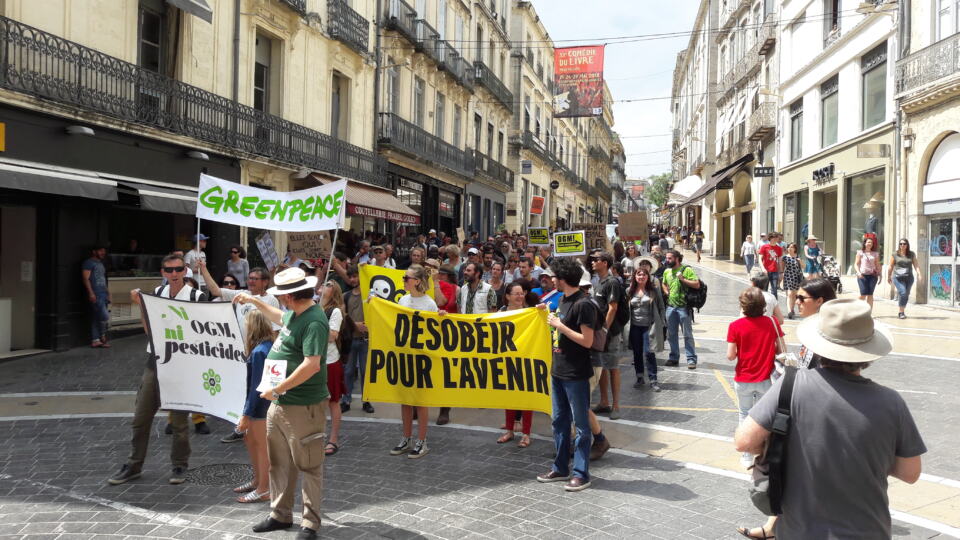 Samedi 19 Mai 2018 avait lieu la Marche contre Monsanto à Montpellier. Evéneme