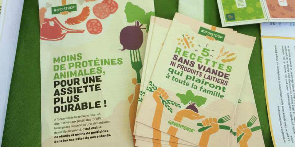 Aujourd'hui 5 mai, c'était carnaval à La Rochelle, une aubaine pour notre stand de sensibilisation sur la surconsommation de protéines animales dans les cantines scolaires, qui a trouvé sa place tout naturellement sur le trajet de la déambulation.