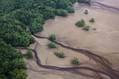 Récif de l&rsquo;Amazone&nbsp;: Greenpeace mène l&rsquo;enquête en Guyane