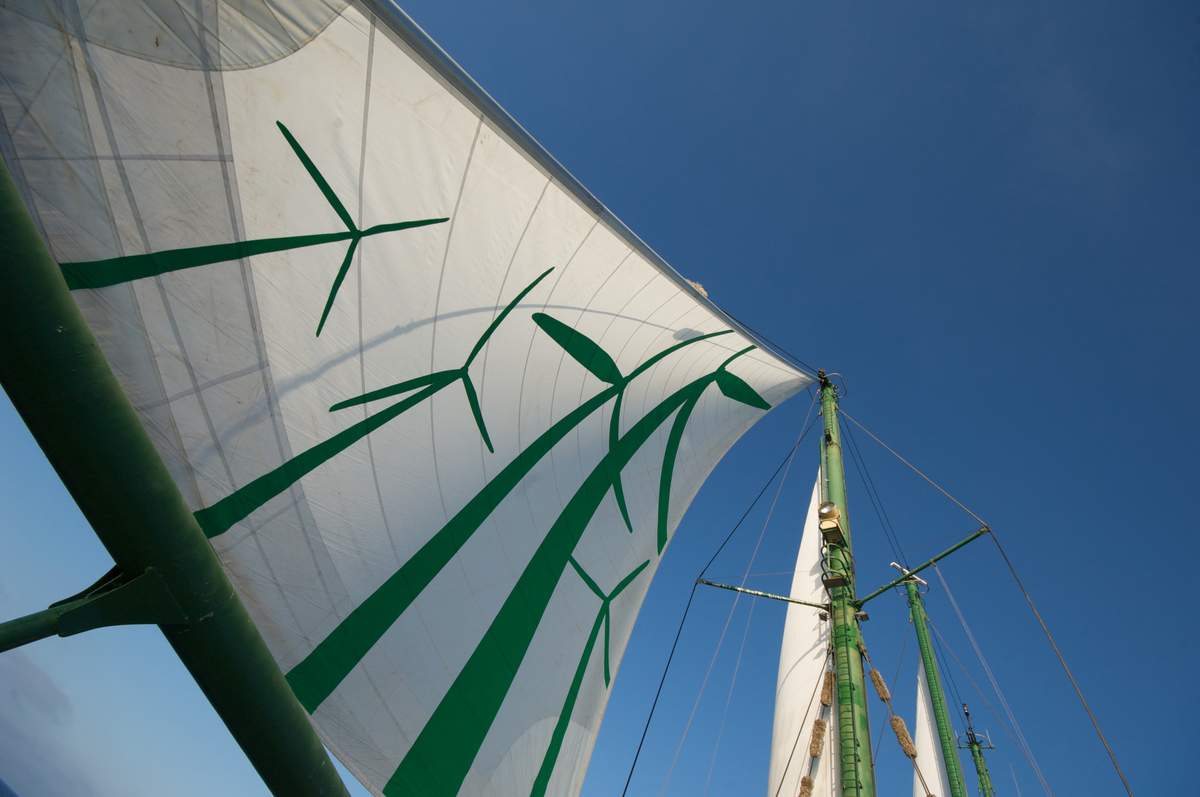 Une réforme cruciale pour notre avenir est en train de se jouer, loin des projecteurs : celle de la stratégie énergétique de la France pour les 10 prochaines années. L'enjeu est de taille. Pourtant, plusieurs points essentiels sont écartés du débat sur le système électrique français. A commencer par celui de la sécurité nucléaire. Nous avons donc décidé de publier, dans une contribution officielle au débat public organisé par l'État, des éléments du rapport sur la sécurité nucléaire que nous avions commandé à sept experts indépendants. Par ailleurs, nous publions avec l'ensemble des associations membres du Réseau Action Climat, une 2e contribution officielle sur les 10 raisons pour lesquelles le gouvernement fait actuellement fausse route sur la transition. 