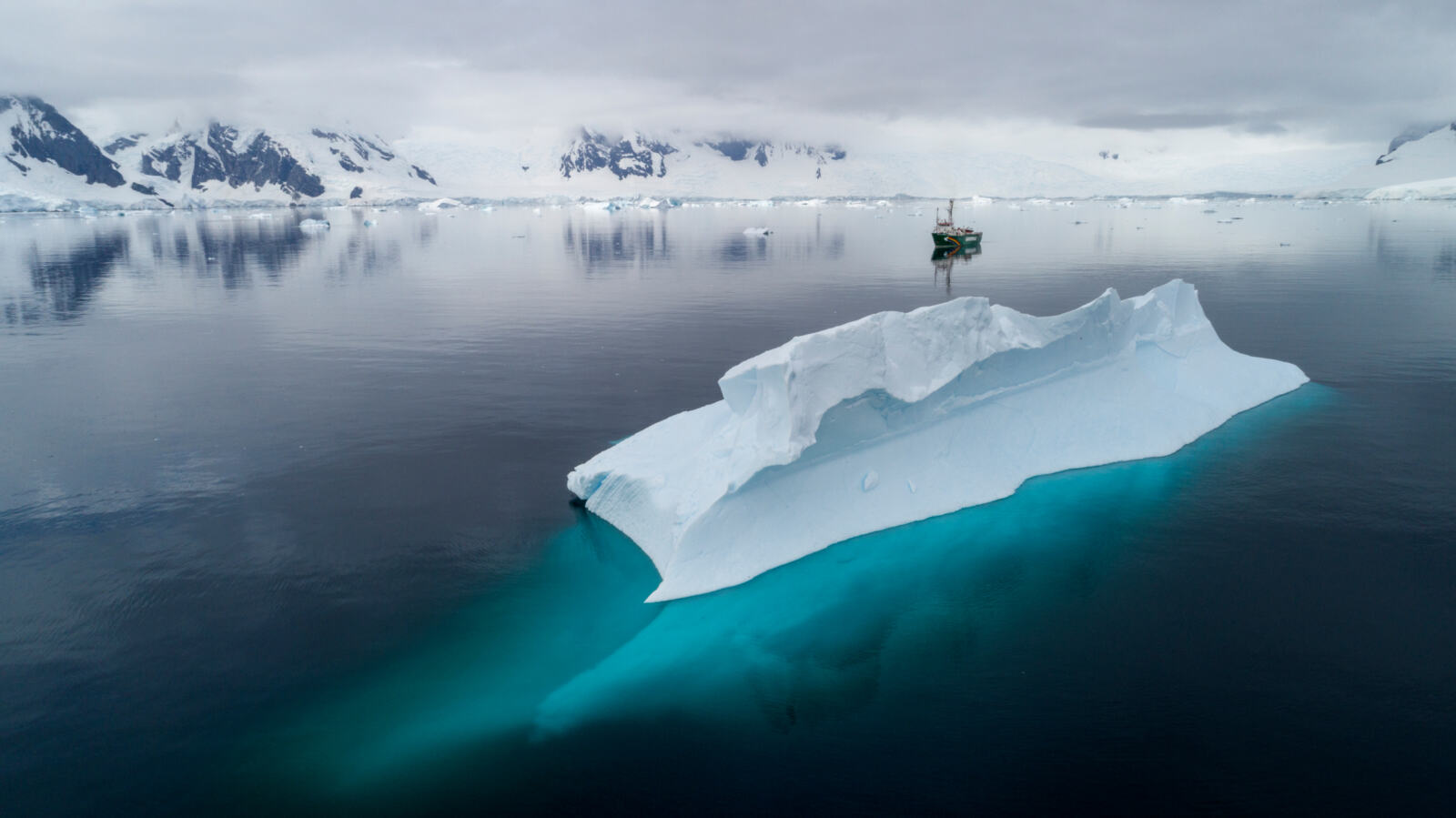En début d'année, une équipe de Greenpeace est partie dans l'océan Antarctique, à bord de l'Arctic Sunrise, pour une expédition scientifique et a effectué des plongées exploratoires du plancher océanique et des prélèvements d'eau et de neige. Le but : en savoir plus sur la biodiversité et la pollution dans la région. 