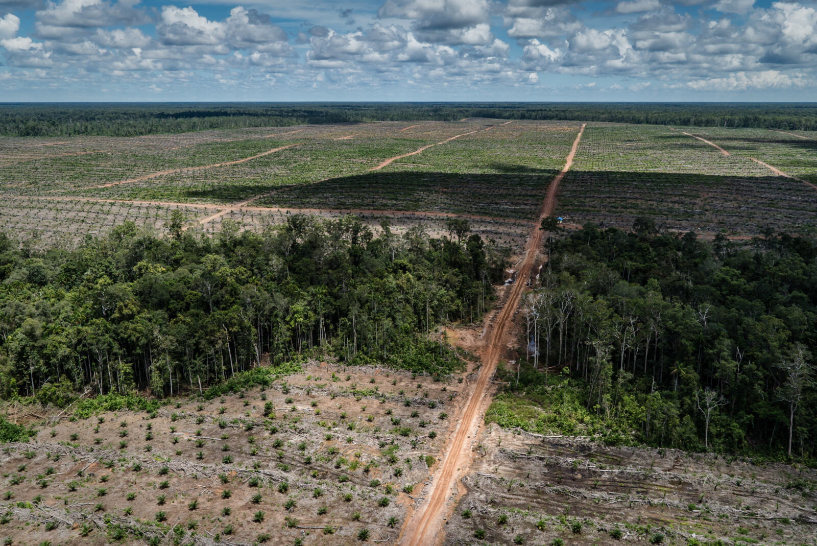 Le Réseau Action Climat et ses organisations membres ont adressé une lettre à Edouard Philippe pour programmer la fin de la production et de consommation des agrocarburants de première génération en France, et pour maximiser les économies d'énergie dans le secteur des transports grâce au report modal et à la maîtrise de la demande.