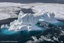 Victoire ! La plus vaste réserve marine du monde est créée au large de l’Antarctique