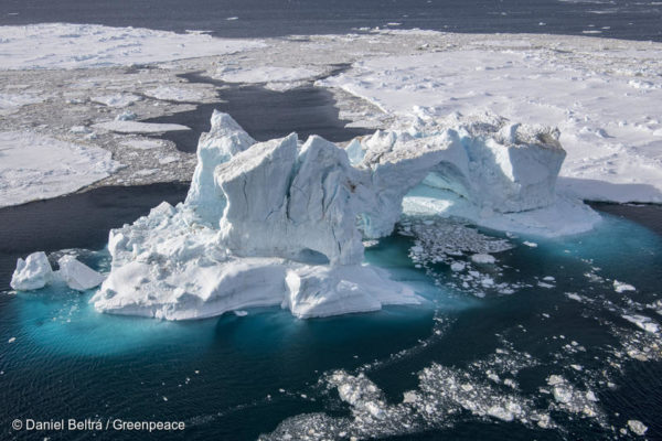 Nous apprenons aujourd’hui que le plus grand sanctuaire marin du monde va être créé dans la mer de Ross, en Antarctique. C’est une belle victoire pour toutes les personnes qui nous ont soutenus pendant ces années de campagne. Les baleines, les manchots et la magnifique biodiversité de cette zone vont enfin connaître un peu de répit. 