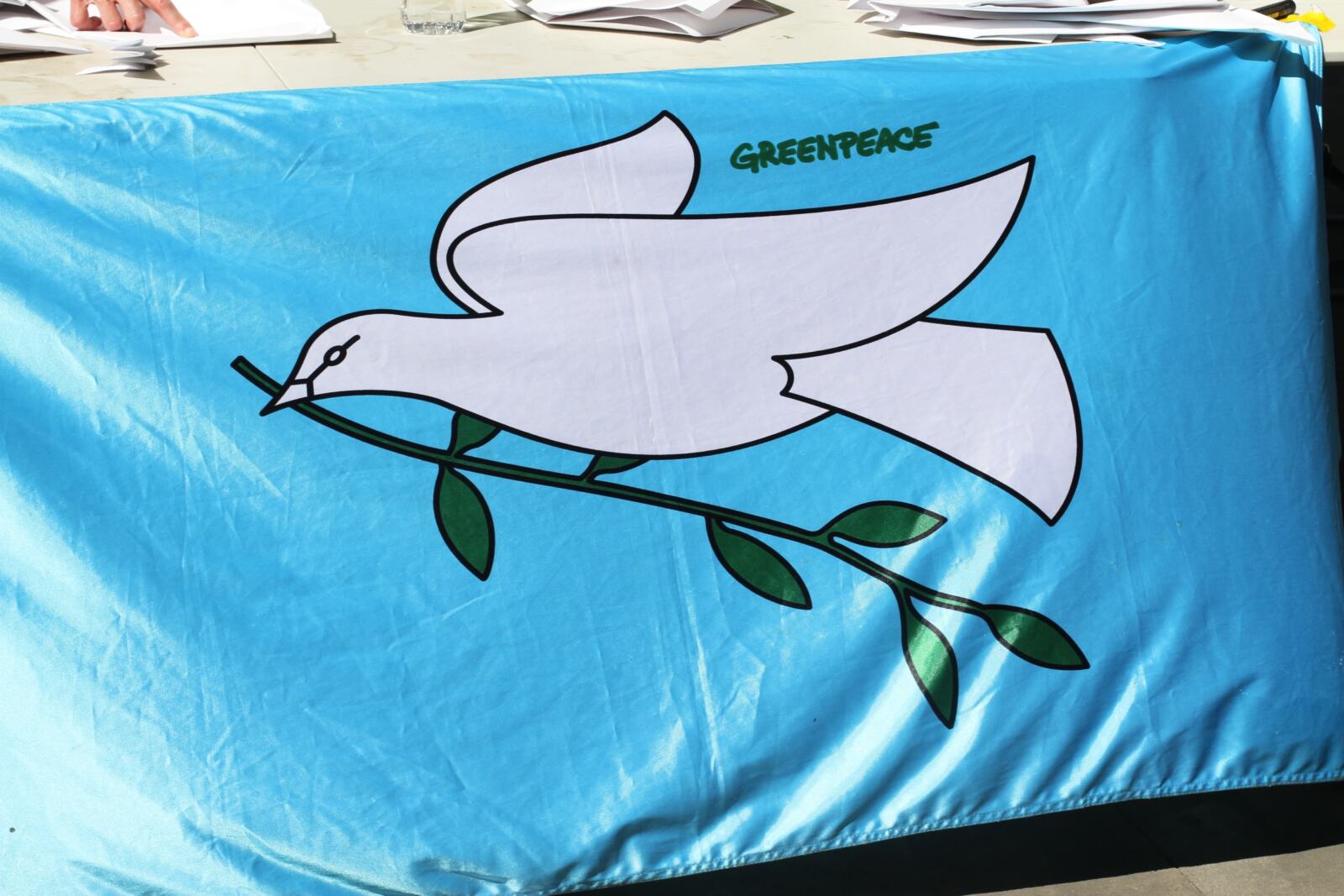 Il y a un risque réel que des armes de fabrication française soient utilisées pour commettre des crimes de guerre à Gaza. Le gouvernement doit respecter les règles internationales en vigueur relatives notamment au Traité sur le commerce des armes et cesser toute livraison d'armes à Israël. 
