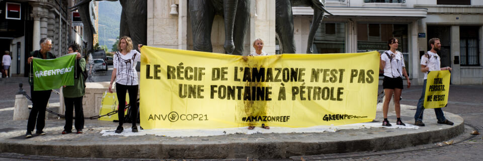 Samedi matin, quinze militant-es de Greenpeace Chambéry se sont mobilisé-es place des Eléphants, pour dénoncer le projet de Total de forage à l'embouchure du fleuve Amazone, au large du Brésil. 