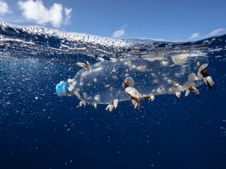 Qu’est-ce Que La « Soupe Plastique » De L’océan Pacifique ...