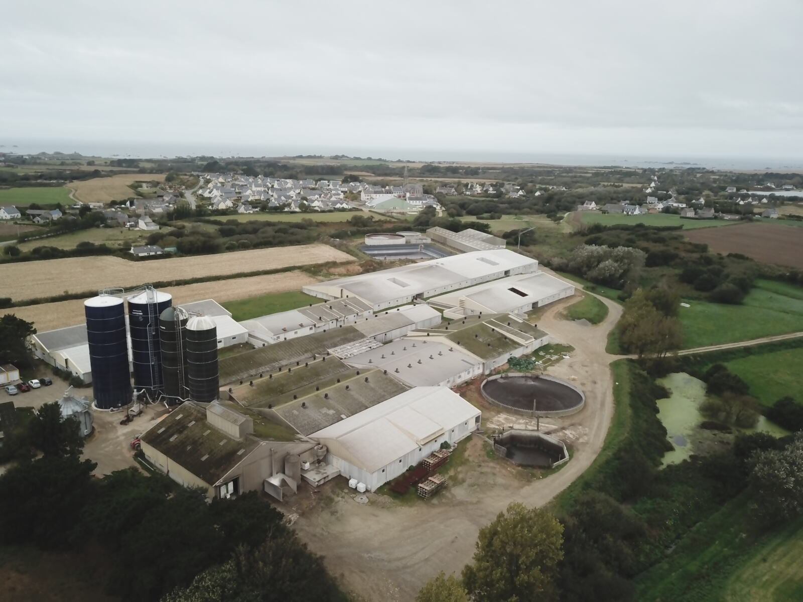 A Landunvez, 26 000 porcs et des eaux polluées Greenpeace France