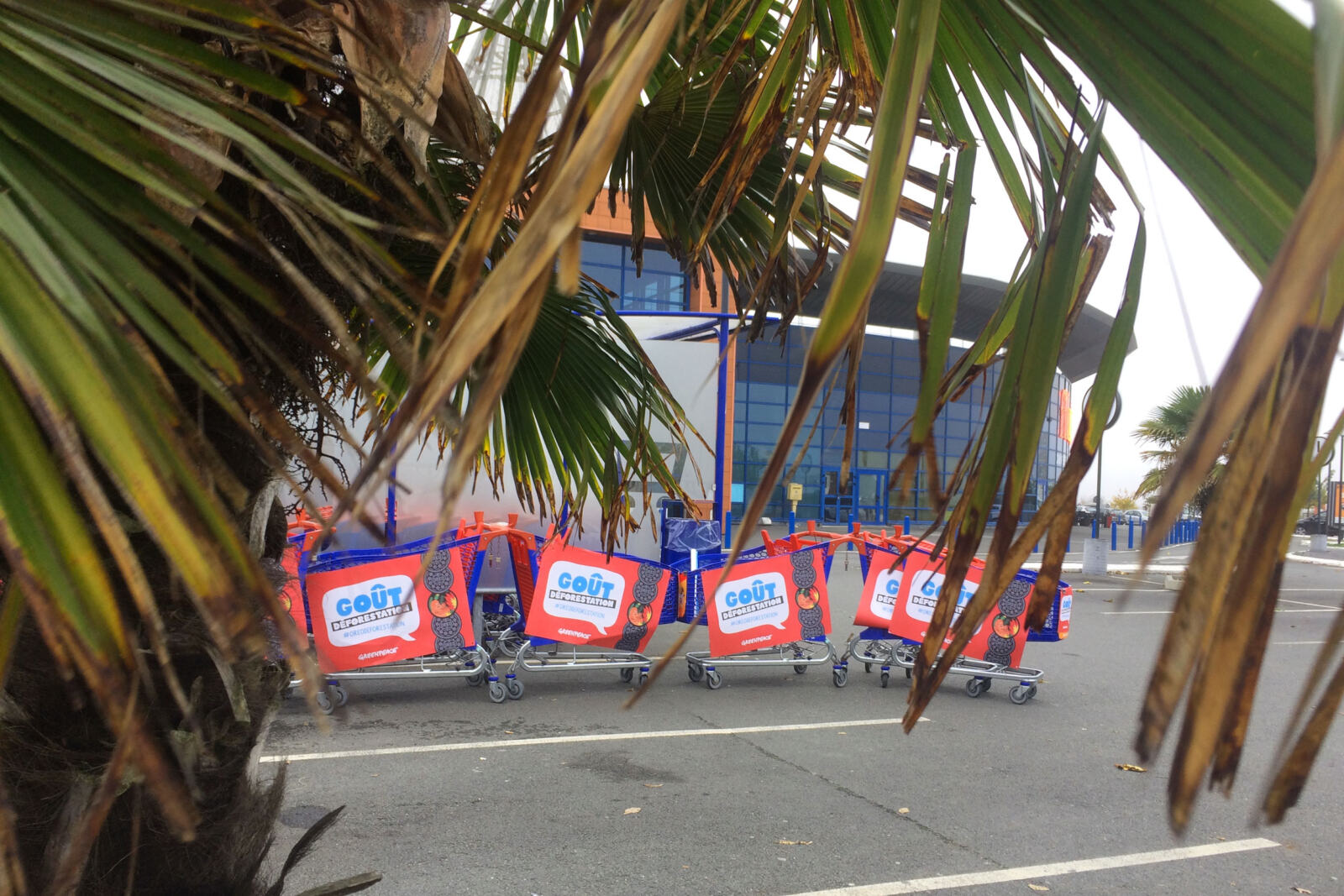Samedi 17 novembre 2018, comme 29 autres groupes Greenpeance en France, les militant.e.s de Greenpeace La Rochelle étaient mobilisé.e.s  pour dénoncer la présence d'huile de palme issue de la déforestation dans les biscuits Oreo. 