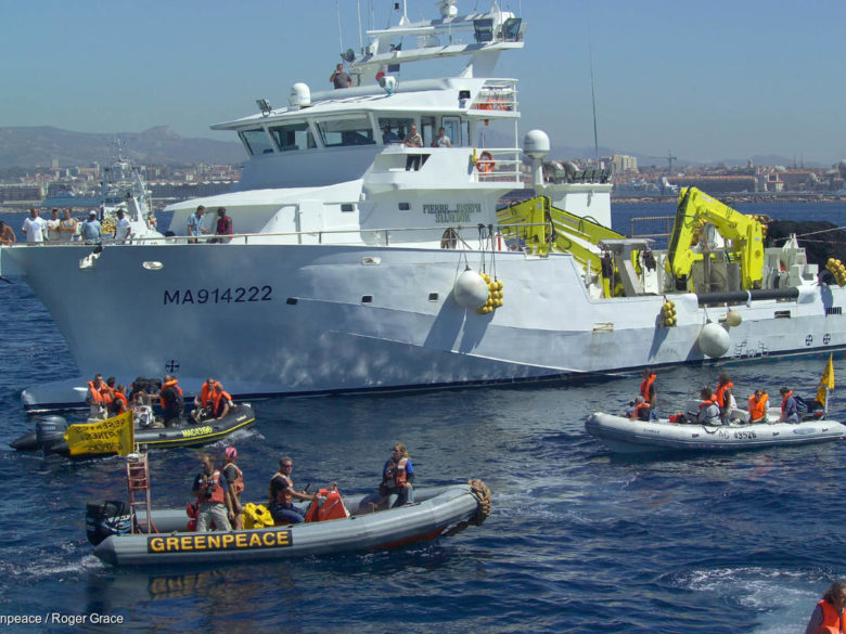 Le Rainbow Warrior, interdit d'accosté à Marseille et accueilli par des pêcheurs violents, lâche ses zodiacs dans le port phocéen pour dénoncer la pêche industrielle au thon, en août 2006.