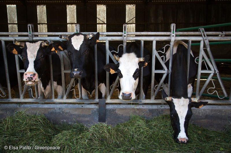 Le 31 janvier dernier s’est clos un vote important mais méconnu du grand public : les élections des Chambres d’agriculture. Une nouvelle fois, et comme systématiquement depuis que ces élections existent, la liste FNSEA/JA est sortie grande gagnante. Mais quelle sera la légitimité du syndicat majoritaire, alors que la crise agricole s’aggrave, et que l’on atteint pour ces élections un taux d’abstention record d'environ 54% ? Comment faire de ces élections une opportunité pour recréer le lien entre citoyens et agriculteurs ?