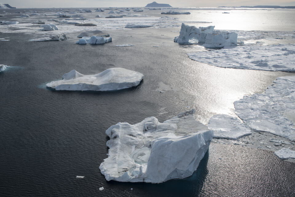 Les exemples de réserves marines ci-dessous sont la preuve que mettre certaines parties des océans hors de portée des industriels peut vraiment faire la différence, lorsque les réserves marines respectent des conditions de conservation clairement définies.
