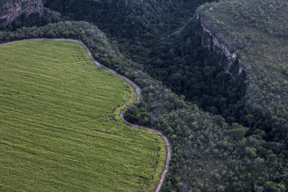 En mai 2023, un règlement européen ambitieux a été définitivement adopté pour lutter contre la déforestation. Que précise cette réglementation historique et quels en seront les impacts ? Sur quoi devrons-nous rester vigilants à moyen et long termes pour protéger les forêts ? 