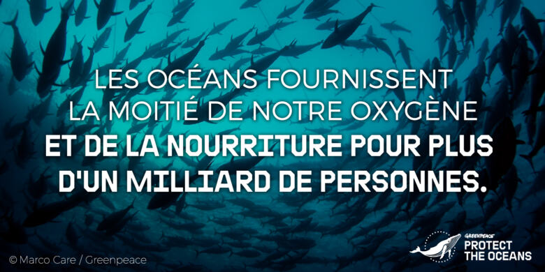 Protegeons Nos Oceans Greenpeace France