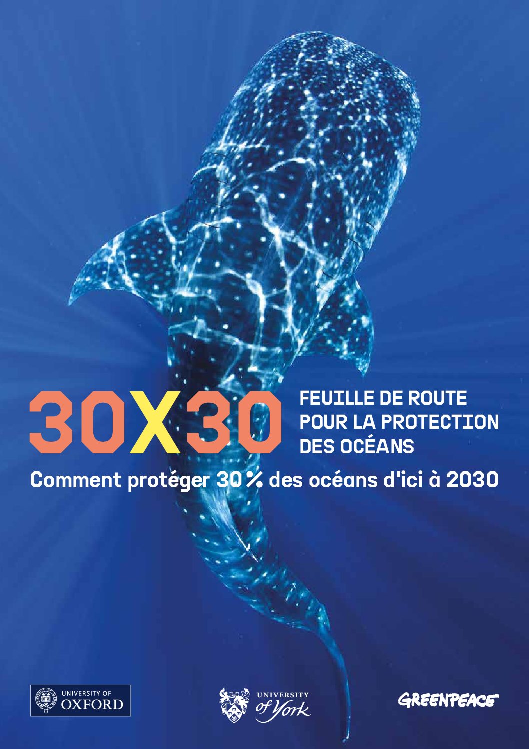 30X30 – Feuille de route pour la protection des océans
