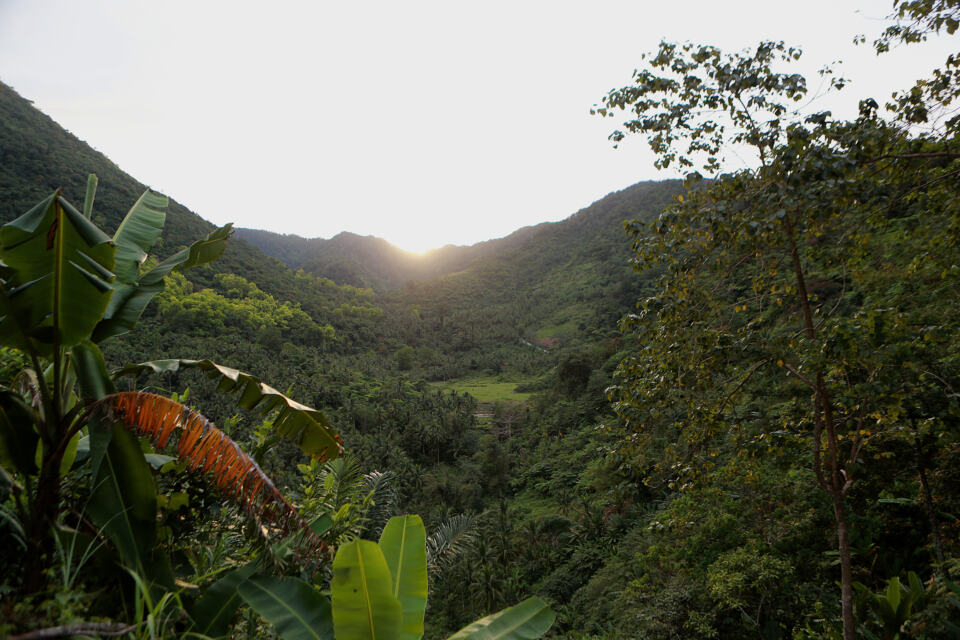 Paris est devenue depuis quelques jours le centre mondial de la biodiversité. Depuis lundi 29 avril, des représentant-es de 130 pays sont rassemblées à l’UNESCO pour la réunion de l’IPBES, un nouvel acronyme mystérieux qui désigne une structure encore peu connue du grand public.