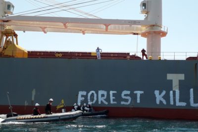 Alerte Déforestation : rejoignez notre action !
