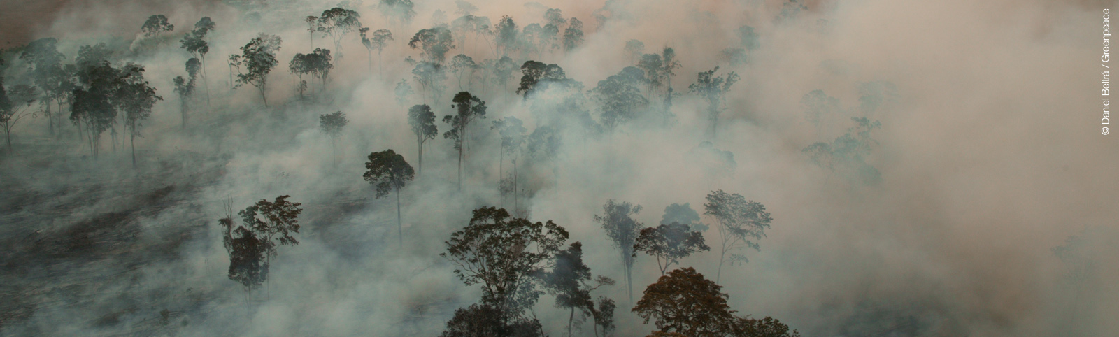 Aujourd'hui, l'Europe surproduit et surconsomme de la viande et des produits laitiers. Dans l'UE, les élevages sont de moins en moins nombreux mais de plus en plus vastes et industrialisés.