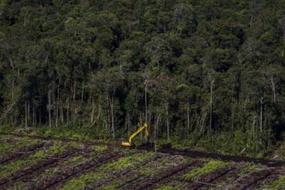 Huile de palme : l’ouverture de la raffinerie de Total à La Mède se précise