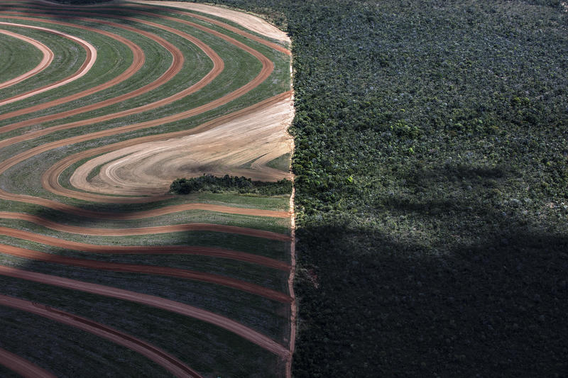 Le rapport du GIEC publié ce jeudi 8 août 2019 le confirme : l'utilisation des terres et l’agriculture sont à l’origine de 23% des émissions mondiales de gaz à effet de serre. Pour faire face à la crise climatique, il est impératif d’assurer la protection et la restauration des forêts et de transformer radicalement le système alimentaire mondial qui produit de la viande en quantités industrielles.