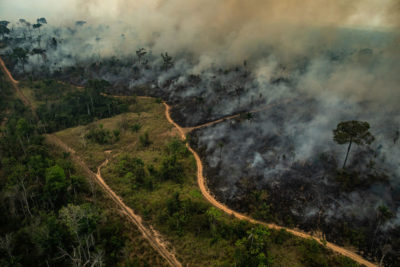 Amazonie : nos poumons brûlent